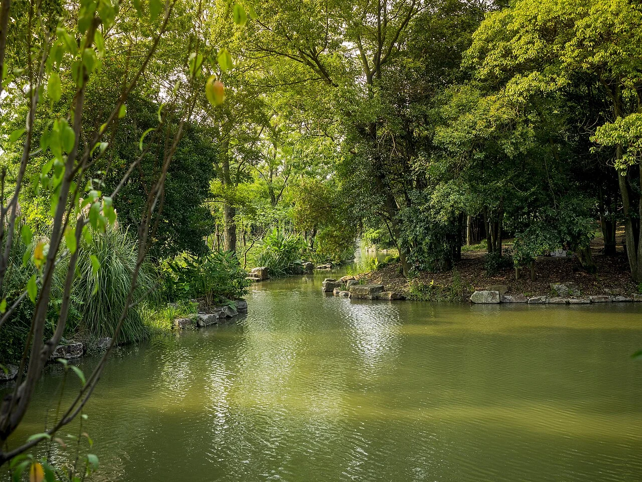 A wooded pond bordered by rocks and dense planting at Shanghai Botanical Garden.