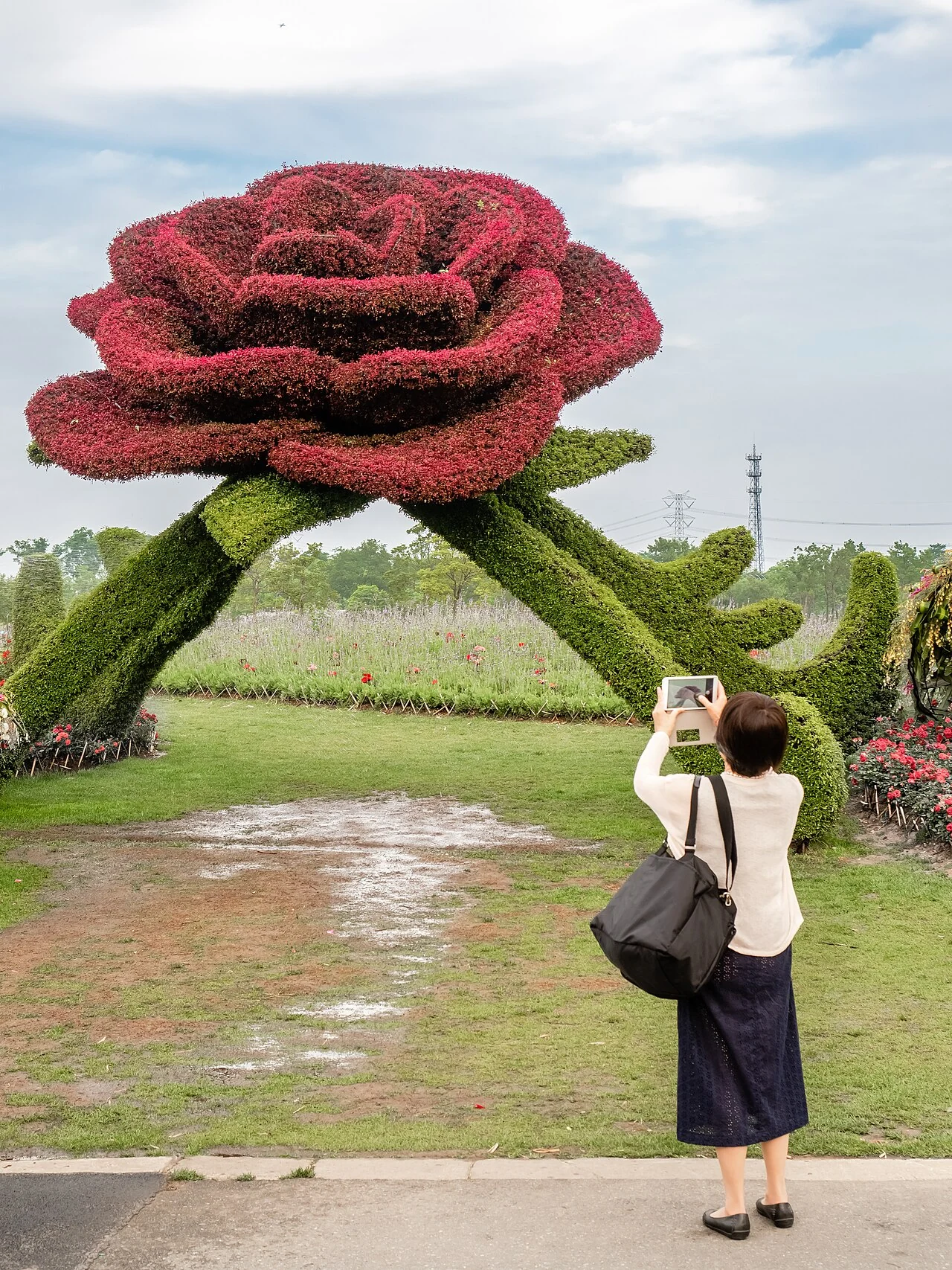 A planted area of Chenshan Botanical Garden in 2015