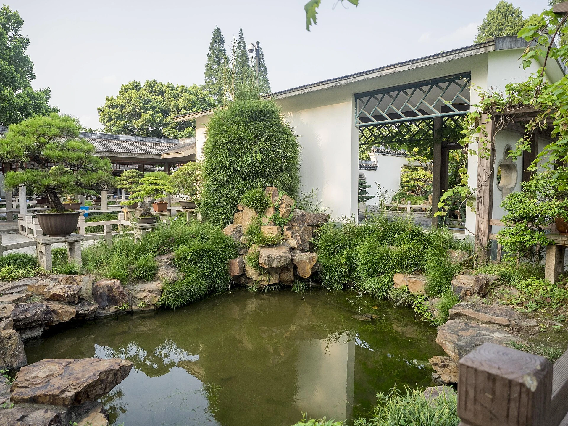 Potted trees, rocks, water and a garden wall in Shanghai Botanical Garden’s penjing section