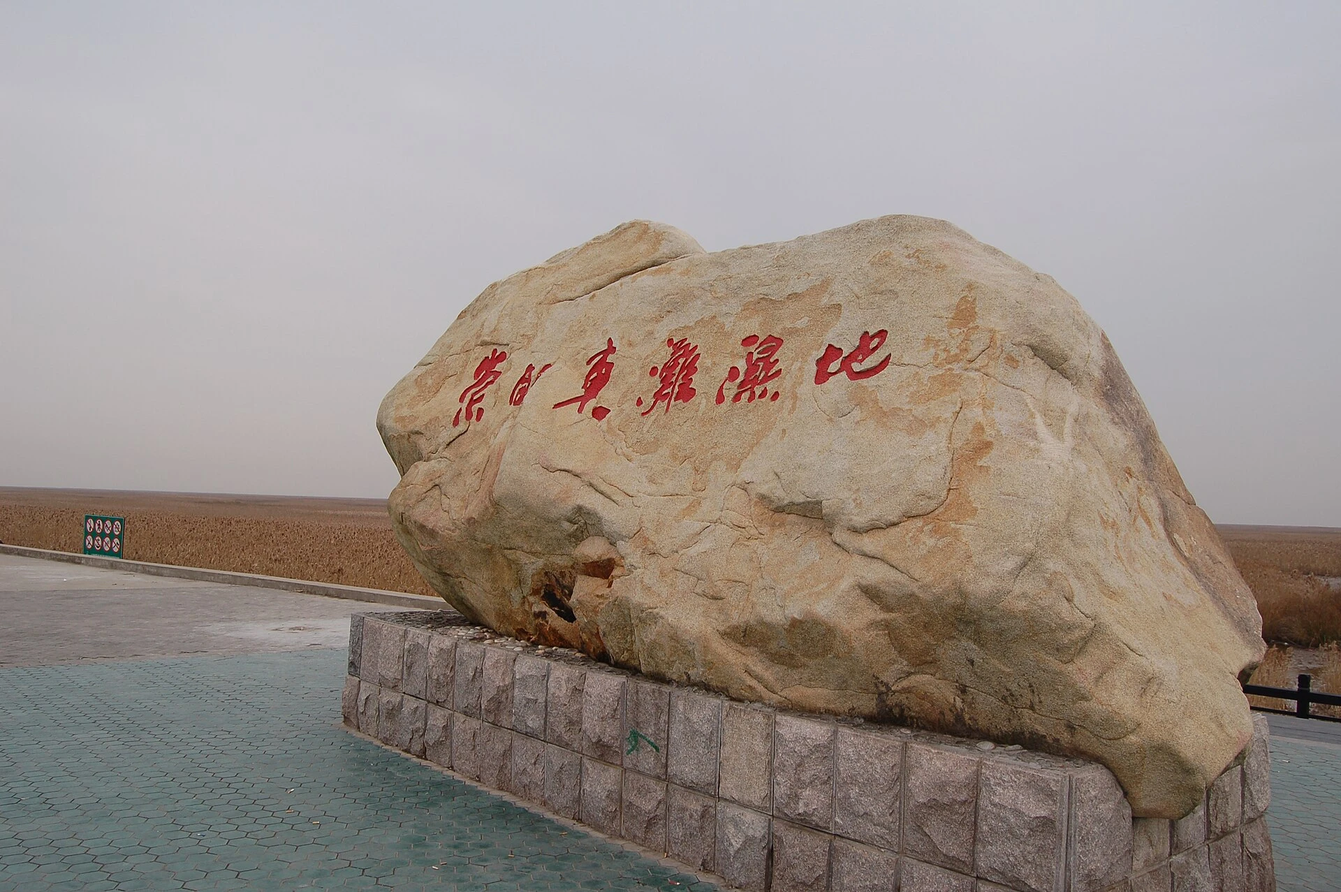 A stone inscribed Chongming Dongtan Wetland with reeds behind it